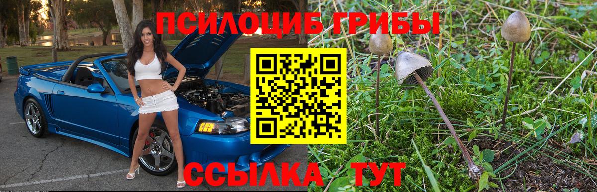 Псилоцибиновые грибы Cubensis Дзержинский