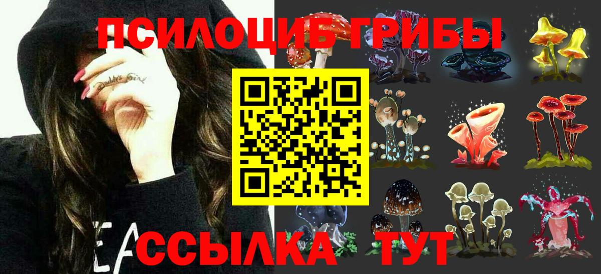 Псилоцибиновые грибы MAGIC MUSHROOMS  Вход с VPN  Псилоцибиновые грибы прущие грибы  даркнет сайт  Дзержинский 